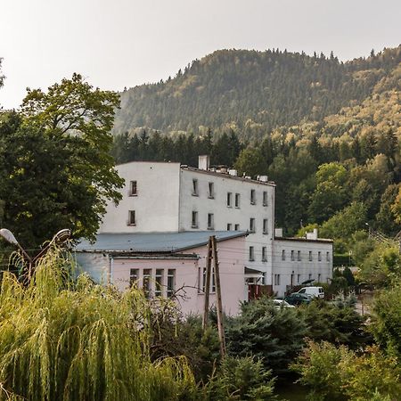 Zielony Las Hotell Radkow Eksteriør bilde